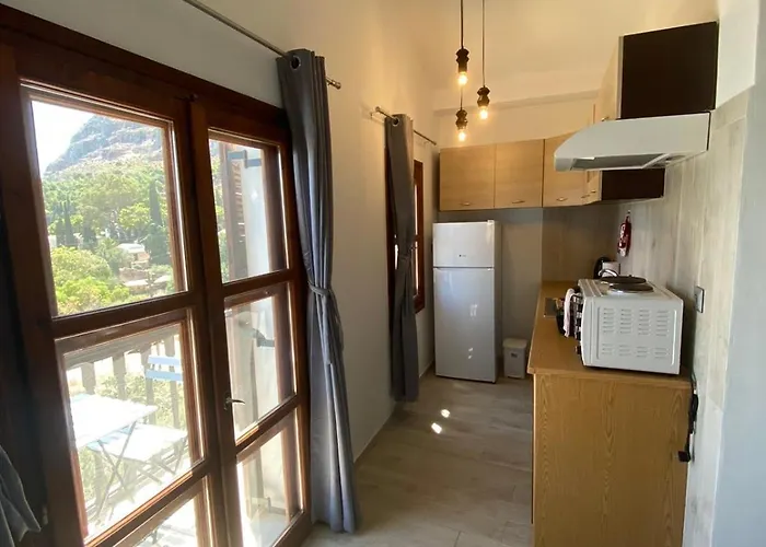 Oasis 2 *