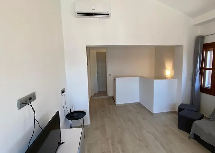 Oasis 2 *